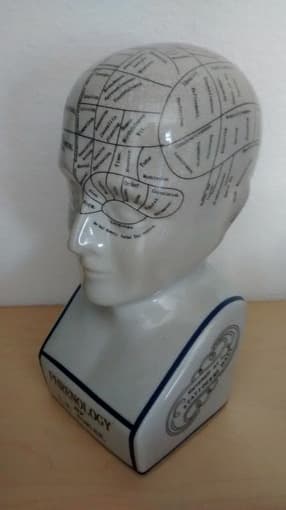 ceramic phrenology head - $40 2