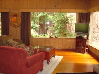 master bedroom available --- in the redwoods near the ocean! 2
