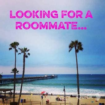 $1300 Looking for a female roommate! 1