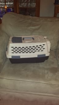 Small pet carrier - $30 1