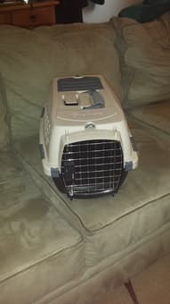 Small pet carrier - $30 2