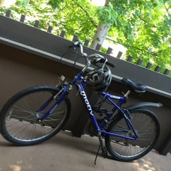 Mountain bike 1