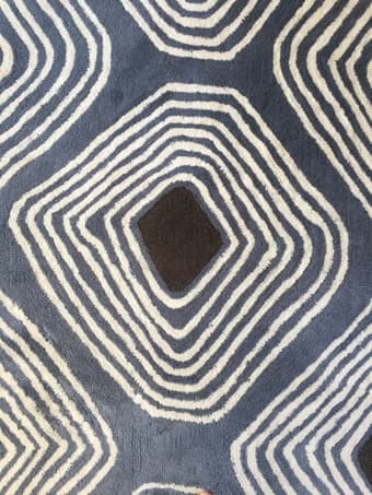 West Elm Rug For Sale - $50 2