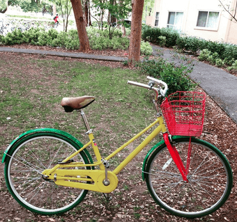 Selling Women's Cruiser Bike $100 1