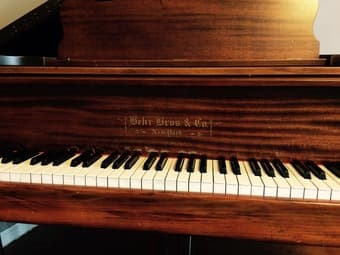Beautiful Baby Grand Piano 3