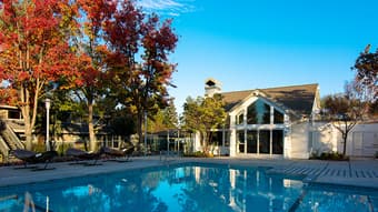 Looking for female roommate to share 2bd/1ba apartment, Mountain View 1
