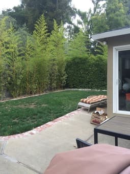 Join our house in Menlo Park! Rooms available from Sept 2