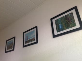 8x10 picture frames and lamps! 1