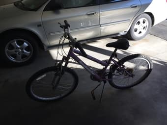 24" female bike 2