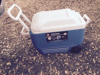 Cooler! 1