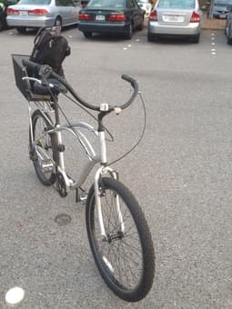 Cruiser with basket! $175 1