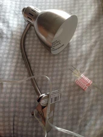 Bed Lamp+Desk Lamp $5 each 1