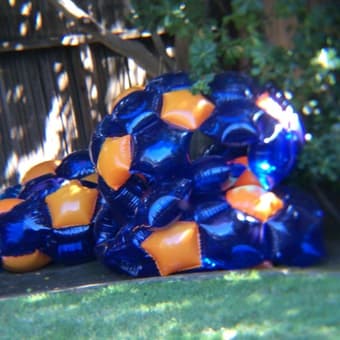Rolling playing balls free! 1