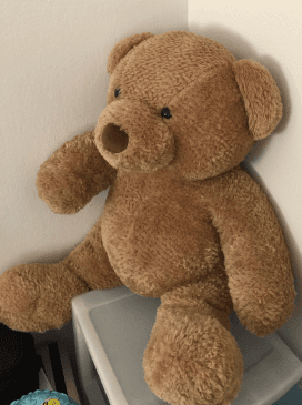 Moving Sale--Teddy Bear, Desk, Microwave Oven, Drying Rack 1