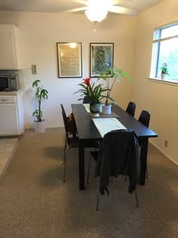 Downtown Palo Alto 1 bedroom free in 2bed/1bath apartment 2