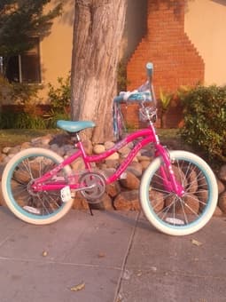 20' pink girl bike. Used only for 1 week,  new. 65 dollars. Pick at PA 1