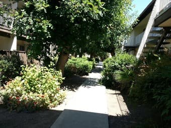 roomate need. 2br/2bath,$1100 near central park Santa Clara 1