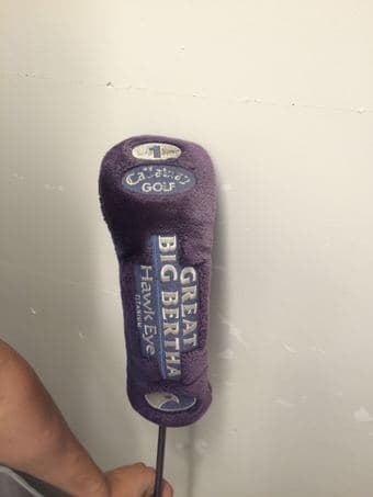 Spalding Basket Ball/Golf Club-$30 3