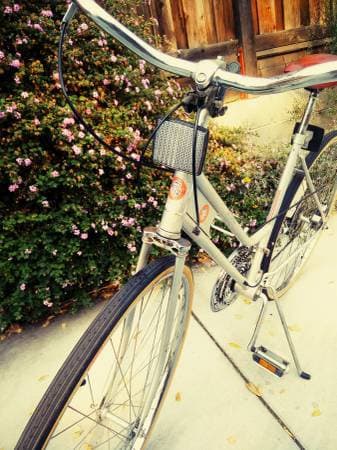 1977 Montgomery Ward Amateur Athletic Union 10-speed 2