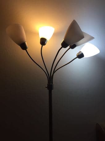 5-Light Floor Lamp (with 5 bulbs) -$35 3