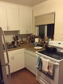 1 bd in a nice 2 bd apt 2