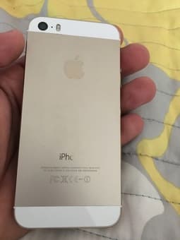 Iphone 5S White/Gold 16GB. Mint conditions $330 3