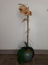 Flower - Artificial Orchid ($5) 1