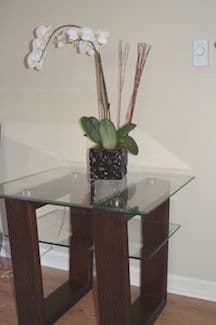 Gorgeous dinning set ($500), coffee table ($150), side table ($100) 3