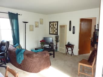 Turquoise/teal pillows, Chenille throw, and curtains from Pier 1 Impor 3