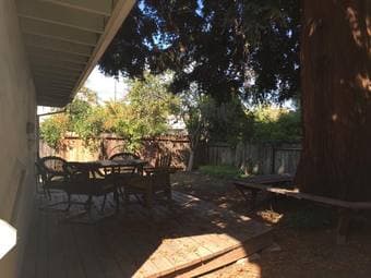 $900 - Shared room in Palo Alto, right next to Stanford 3