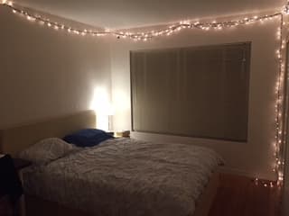 1 bd in a nice 3 bd apartment $1600 1