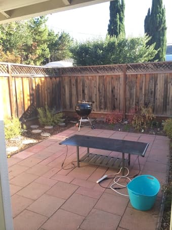 1 BR open in 2BR apartment - Mountain View ($1365/month) 3