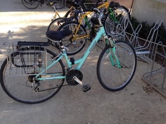 Beautiful women bike Raleigh 1