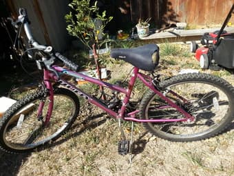 Woman bike, 40$ 1