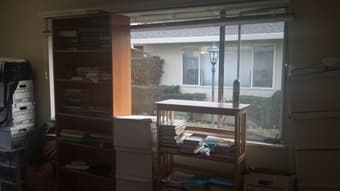 Room for a male roommate 3