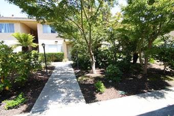 Menlo Park 2Br/2Ba apartment 客厅招租 11月15日拎包入住 1