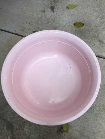children used 2