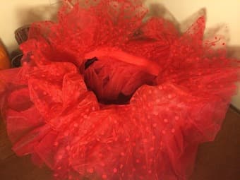 Brand New Red Tutu 3
