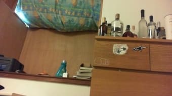 Winter Break Sublet: Hippie House, Downtown Palo Alto $575 1