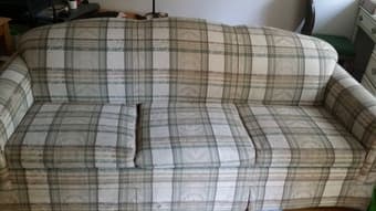 Sleeper Sofa $100 1