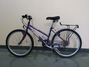 Bike_$100 1