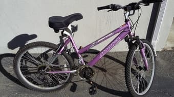 $80_bike 2