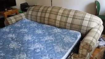 Sleeper Sofa $50 3