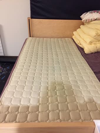 Mattress Topper Twin Size $6.00 1