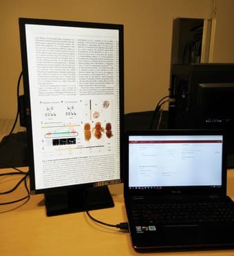 LG 24" gaming monitor for sale 2