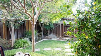 $921 Big bedroom available in downtown Mountain View 1