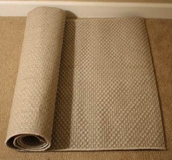 Rug MORUM (Ikea) - $10 1