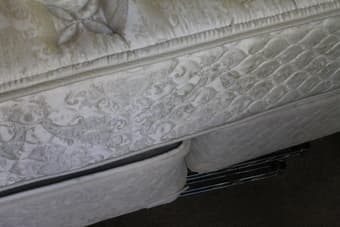 Great Mattress SEALY POSTERPEDIC ($20) plus two-part box spring for easy moving 3