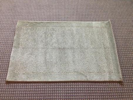 rug $10 1