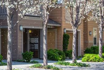 $1250/10day master BR short term 20-30th Dec Stanford West 2